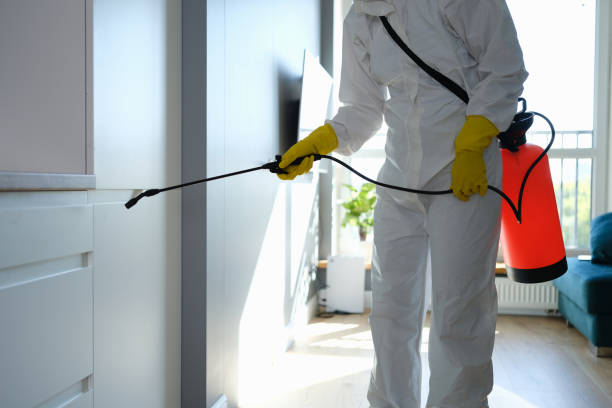  Burlington, KS Mold Removal Pros